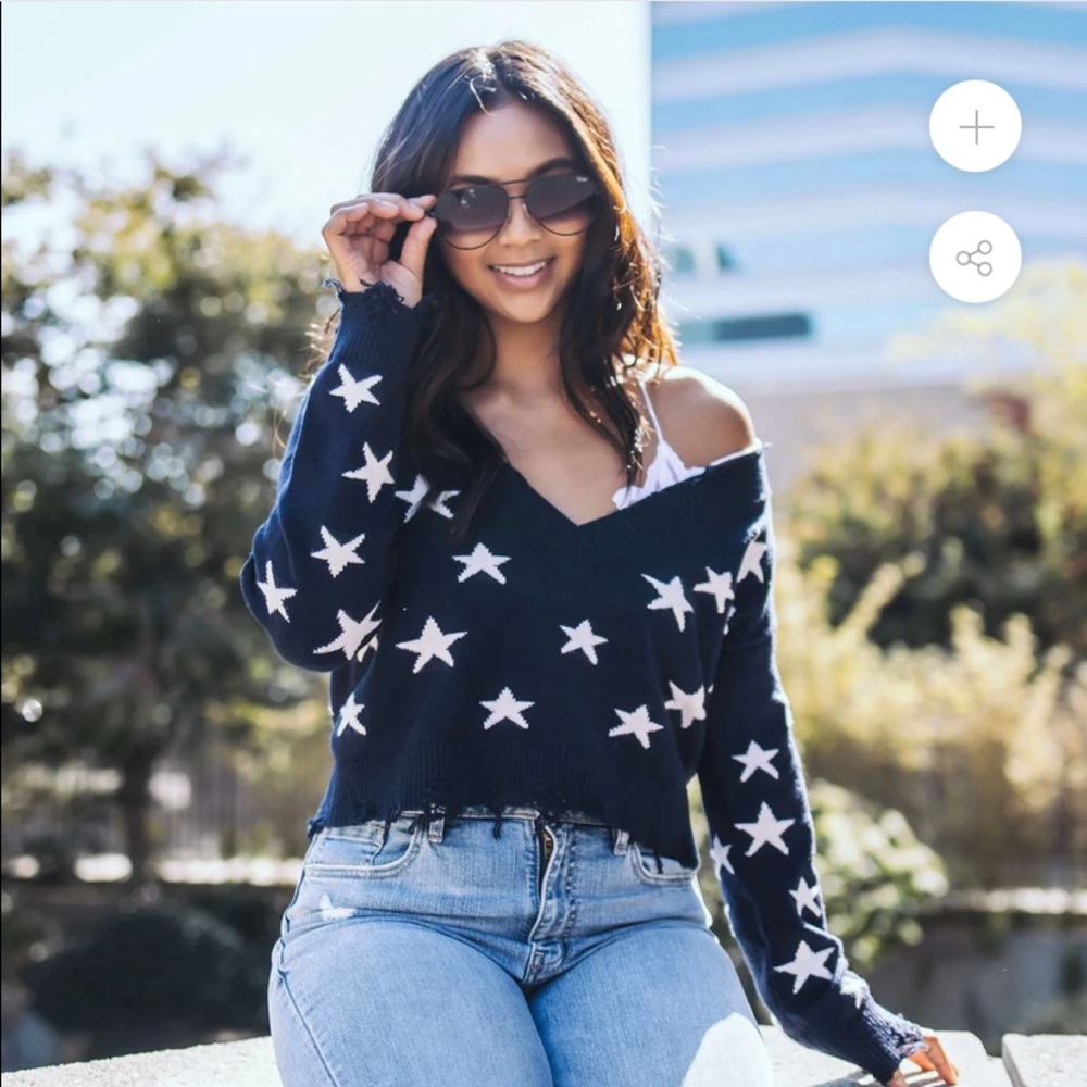 Wild Honey Distressed Star Knit Sweater